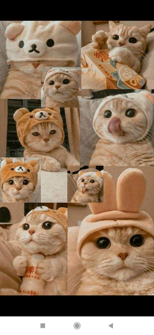 Rizki amalia profile icon