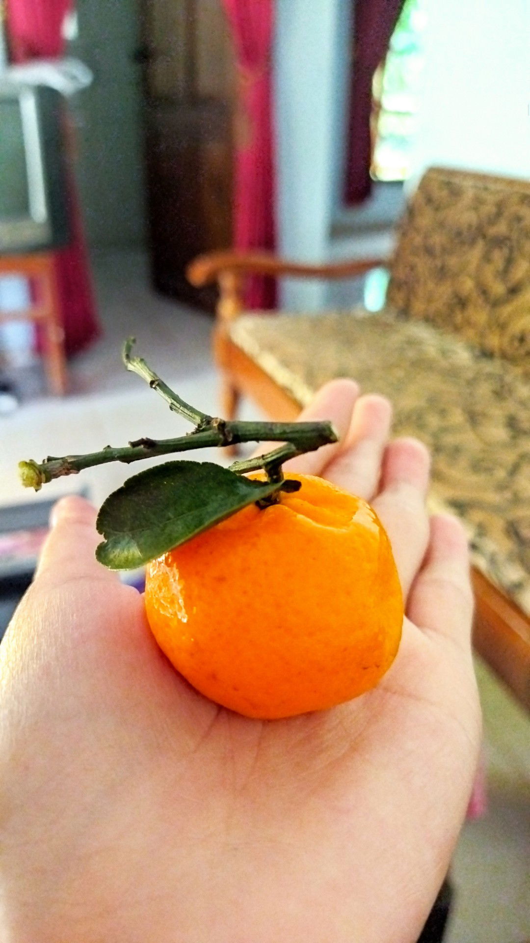 Ika Hariyanti profile icon