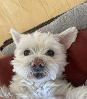 Parichat Rakngan profile icon