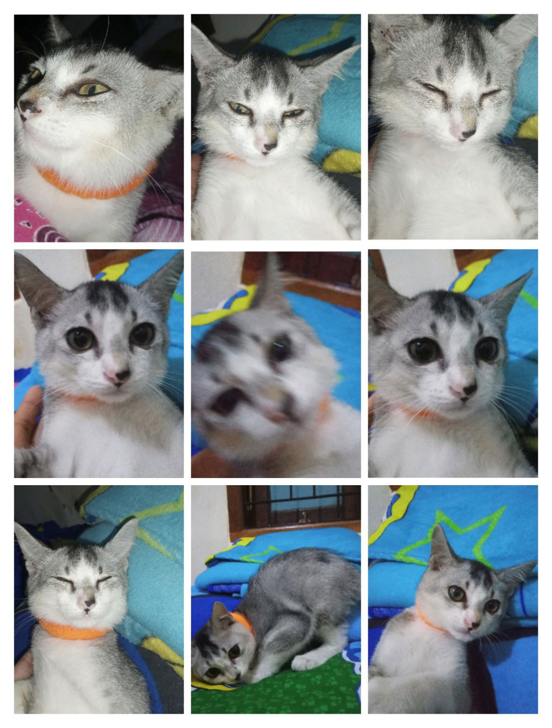 PMA ✨ profile icon