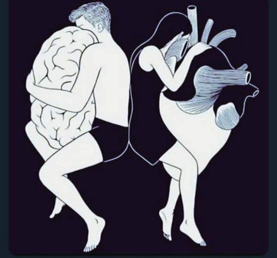 Roufie Latsarina profile icon