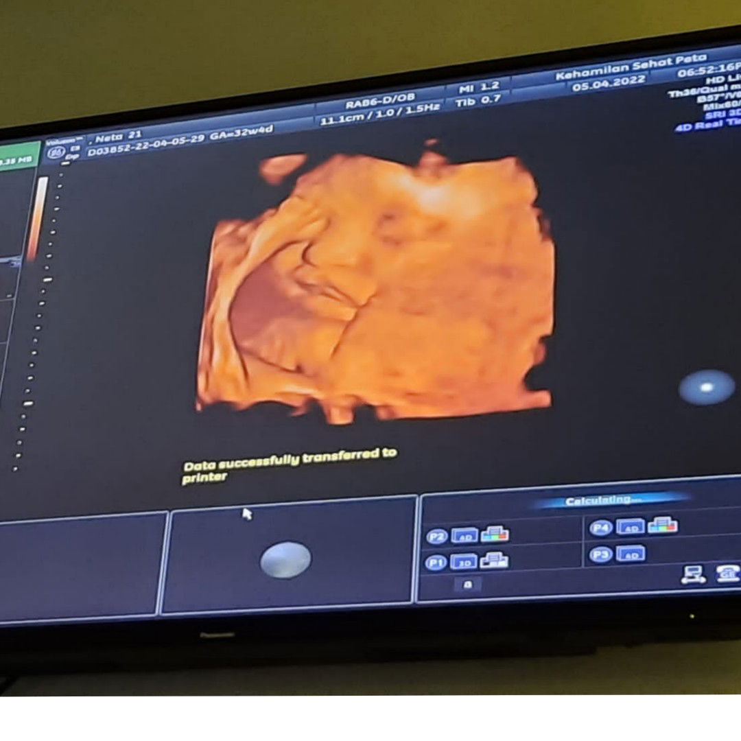 neta Sari profile icon