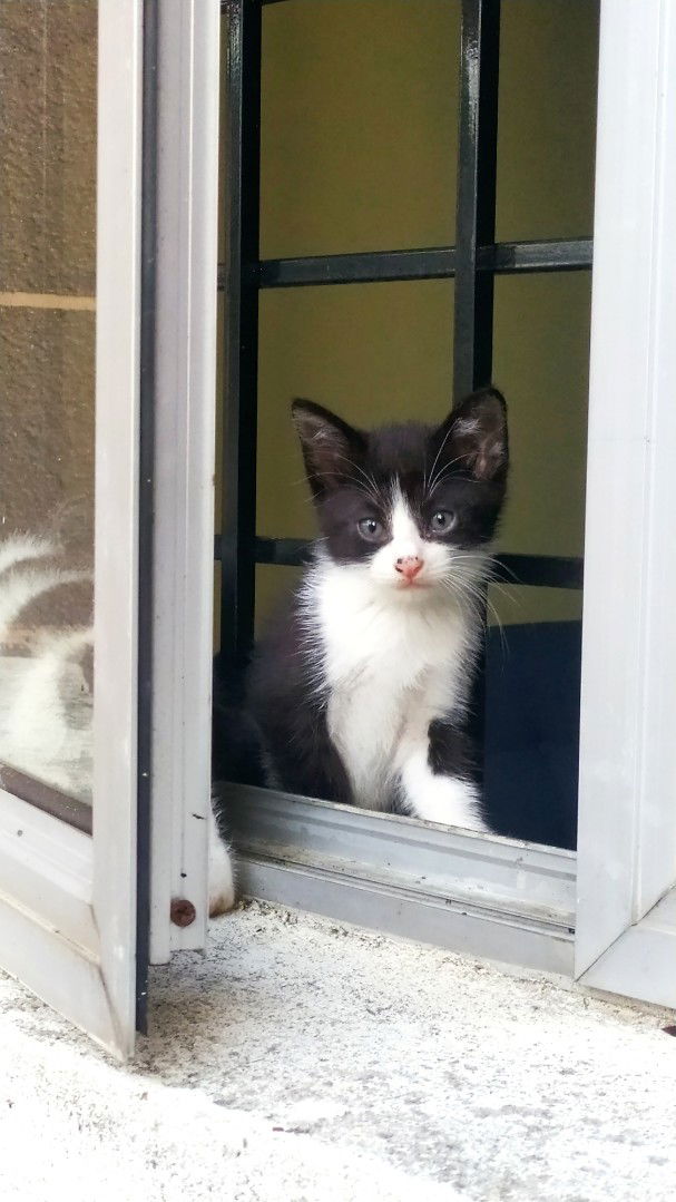 Syafiqah Eisa profile icon