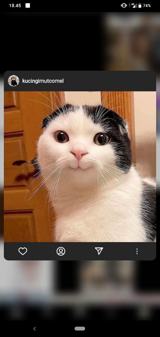 rahma bian nusa profile icon