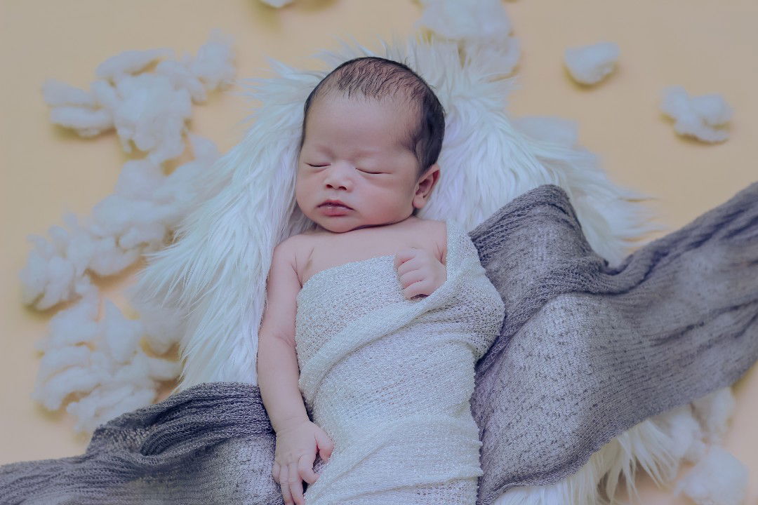 Feni Anggita profile icon