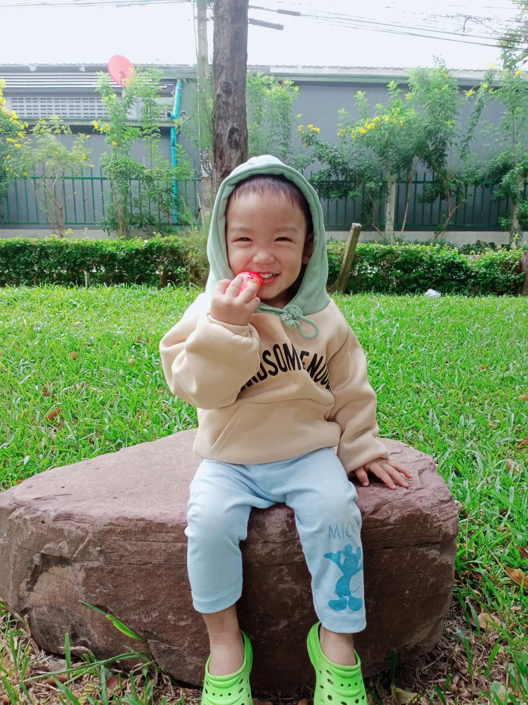 nongpupup profile icon