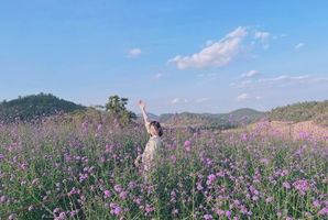 ging .ka profile icon