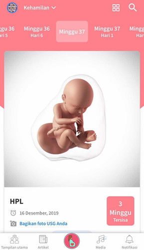 37week