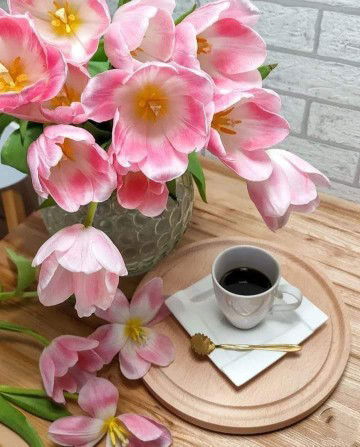 Salamah Nur Hidayah262 profile icon