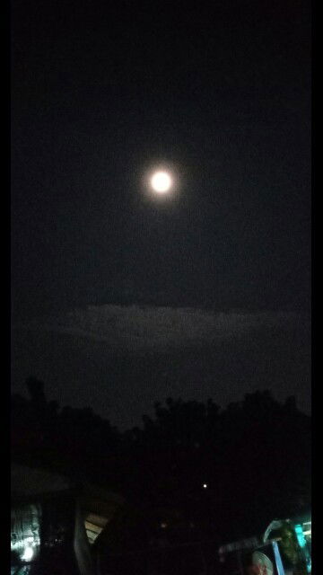 arabella meida profile icon