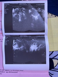 Eve Laroco profile icon