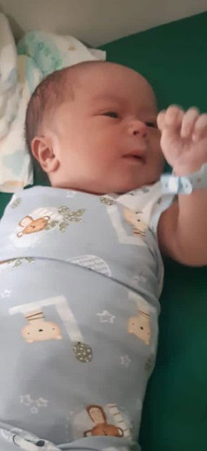 Lisa Venia Ariyanti profile icon