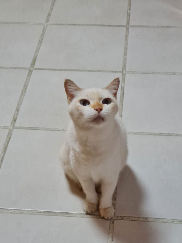 Rosalyn profile icon