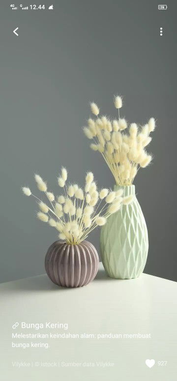 Latifah profile icon