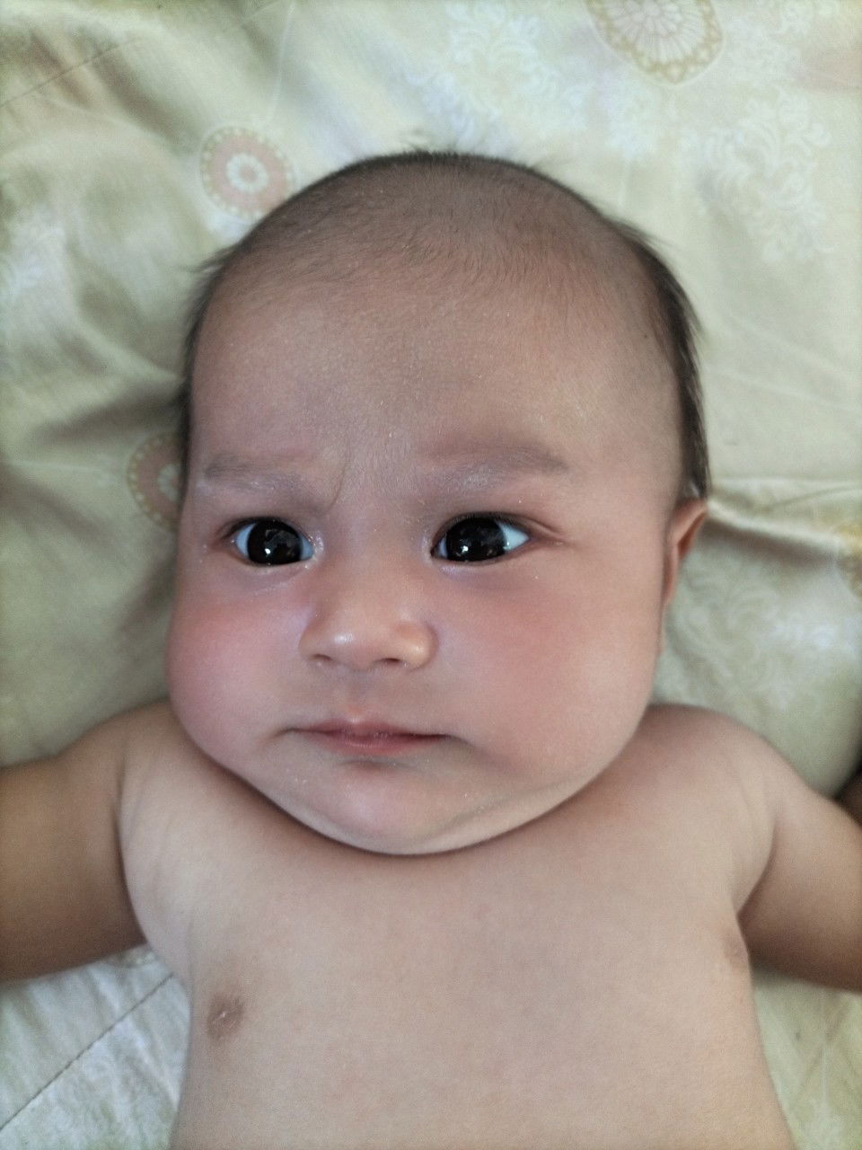 Wipada Panchan profile icon