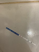 Anggi Santika profile icon