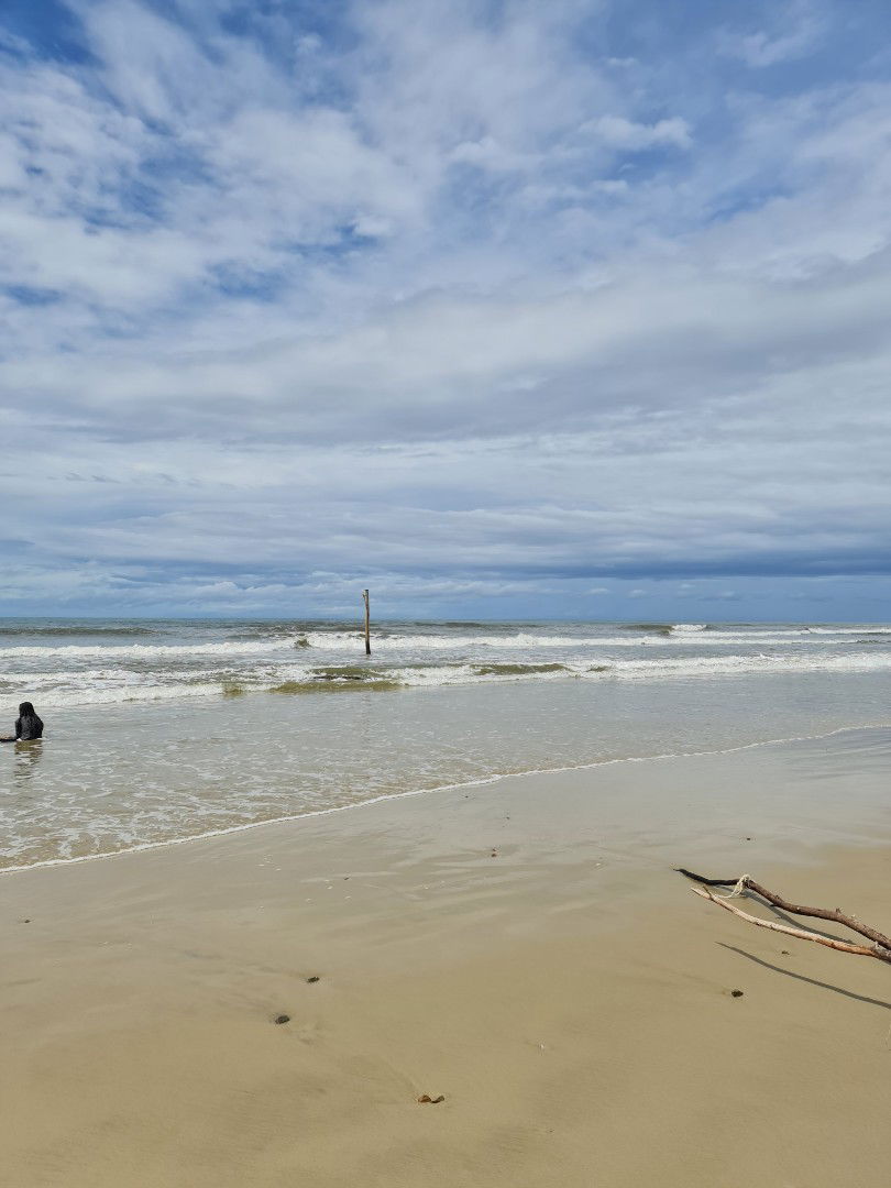 Yanyan ahmad profile icon