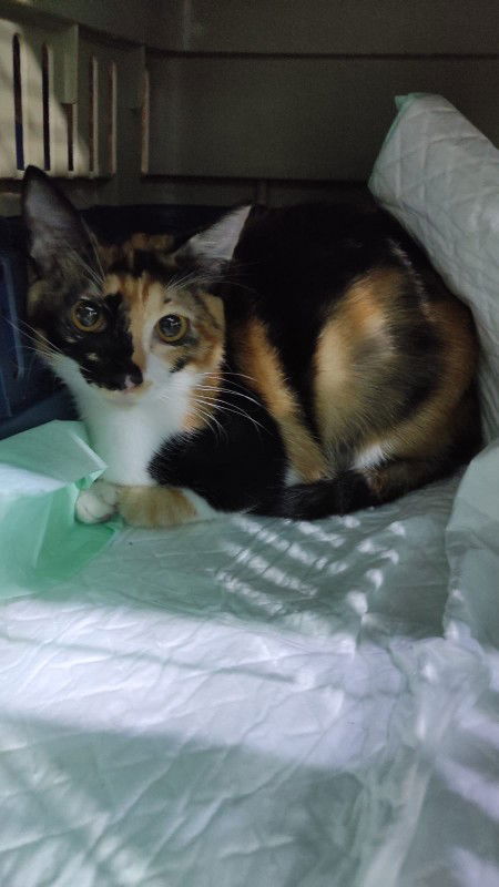 Sely Aprelia profile icon