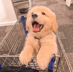 วิรัญญา. profile icon