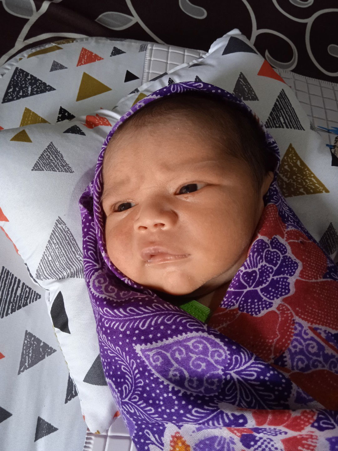 dsafarina profile icon