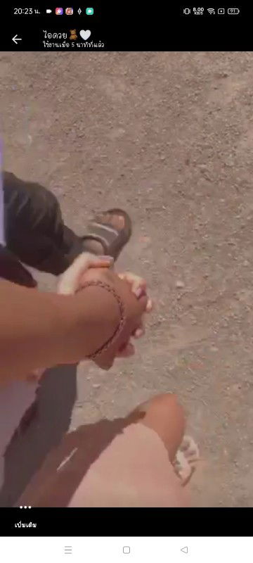 Aunchisa profile icon