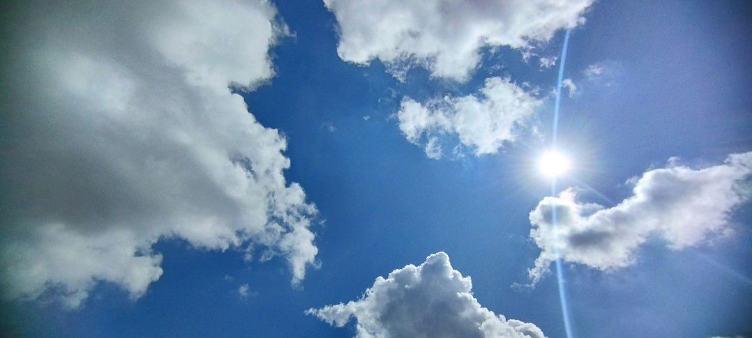 momysyarla profile icon