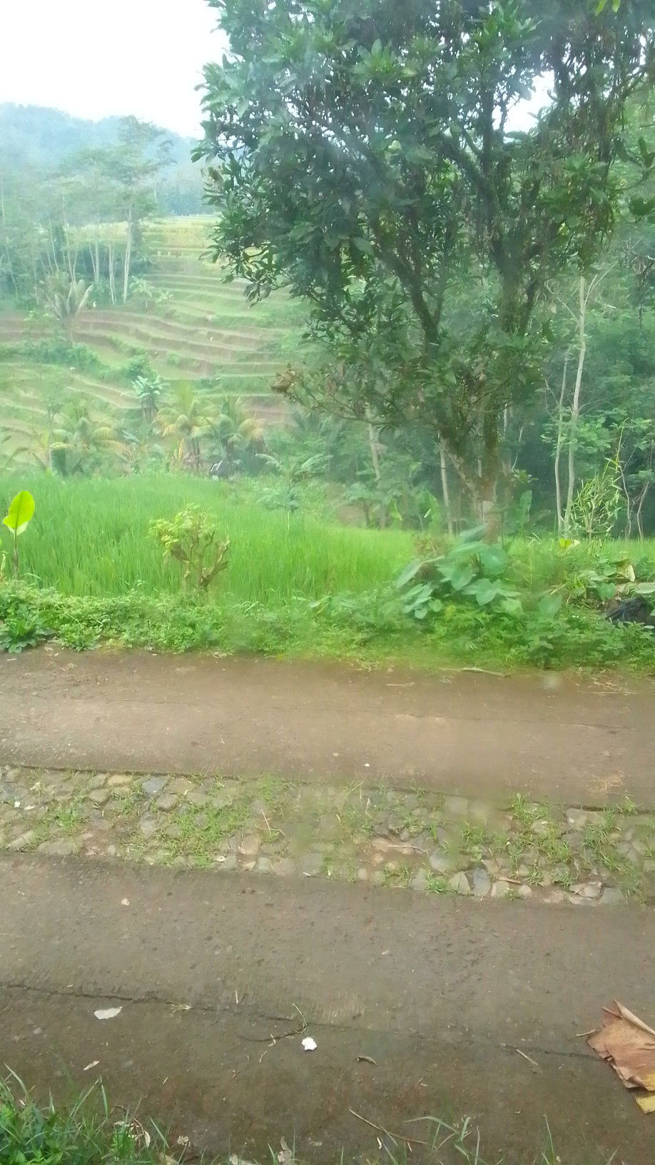 nita sofiyani profile icon