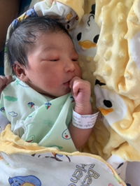 Patcharapon Sorn-in profile icon