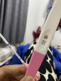 yolaauraelfani profile icon