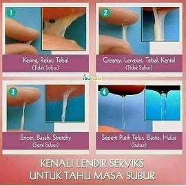 solusi cepat hamil