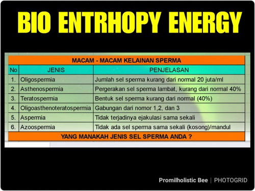 penghambat kehamilan