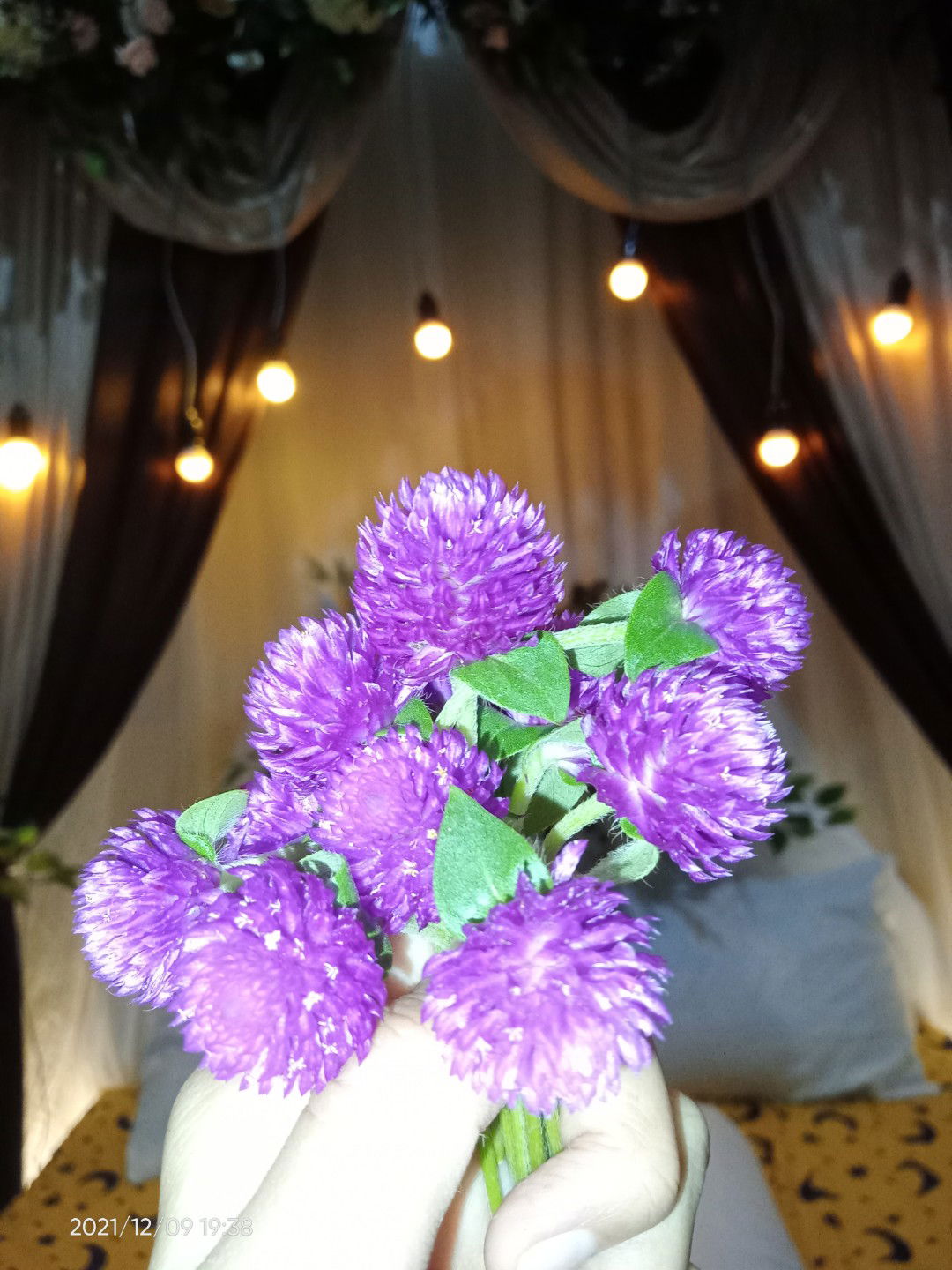 yolanda profile icon