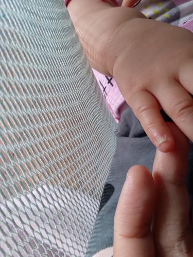 Kuku bayi lepas