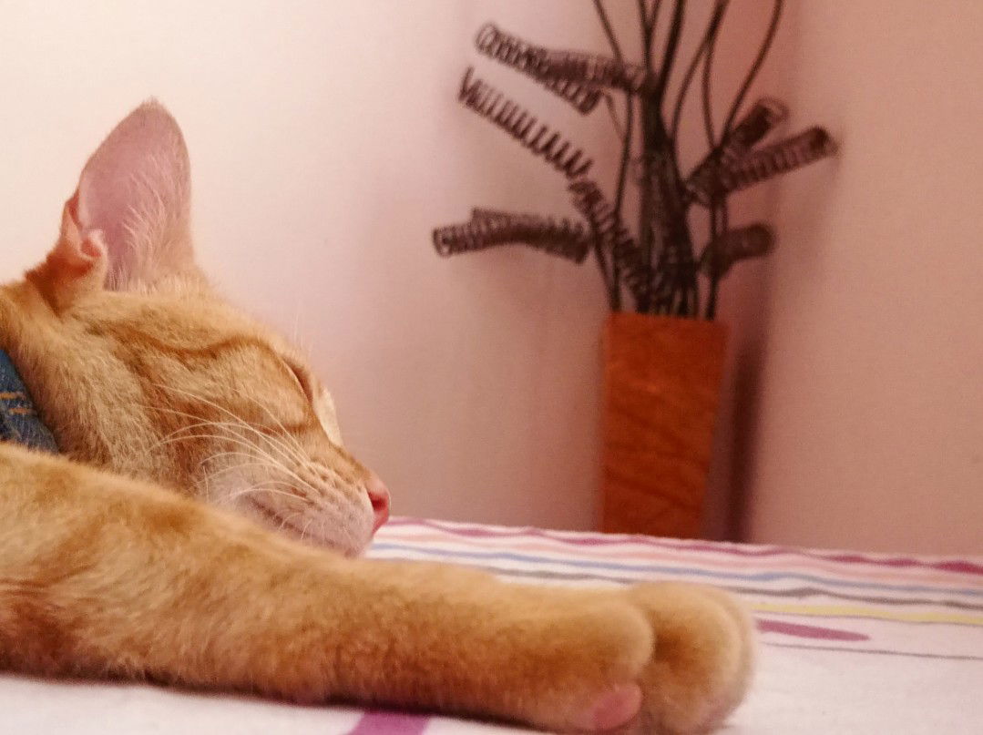 Nurzarith profile icon