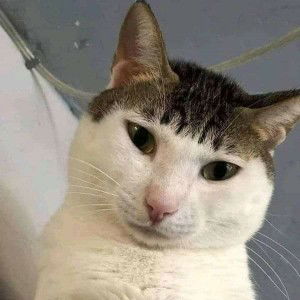 Nur Eka Putri profile icon