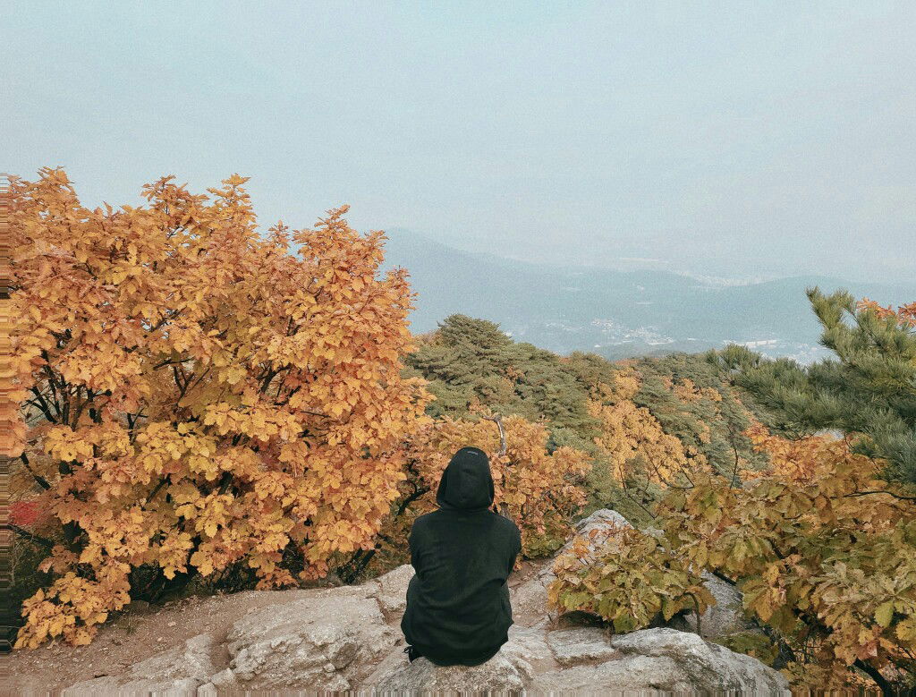 Irma Firmanda profile icon