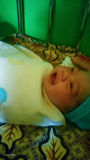 shofia adibah profile icon