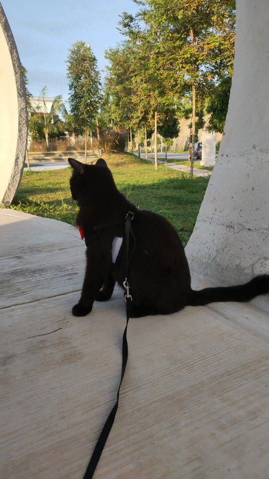 Sebenarnya Saya Isteri Dia profile icon