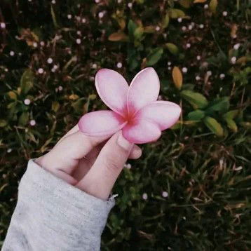 Hanik istiqomah profile icon