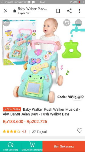 Preloved Push walker