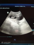 eva profile icon