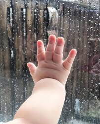 liana lizam profile icon