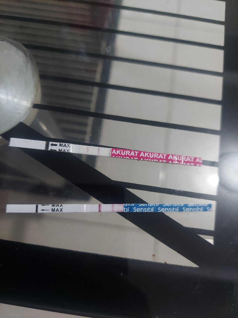 Fatimah12 profile icon