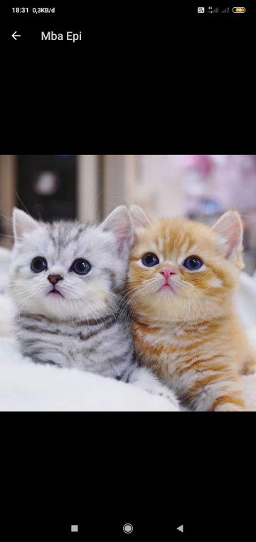 Dwi marini profile icon