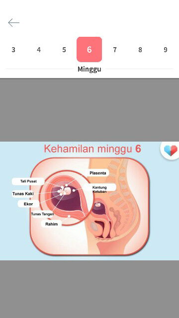 Alhafizh junior profile icon