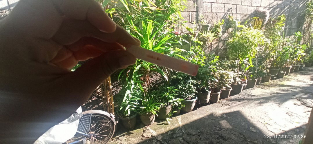 Dini Arumsari profile icon