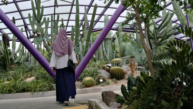 Qhairun A profile icon