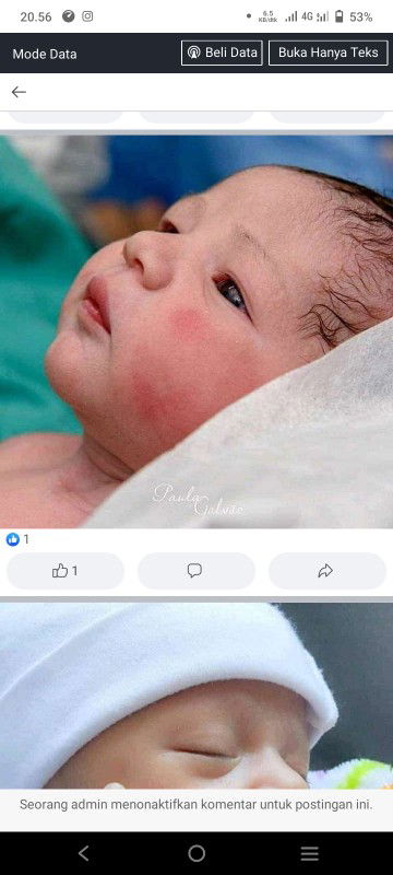 Ross Diana profile icon