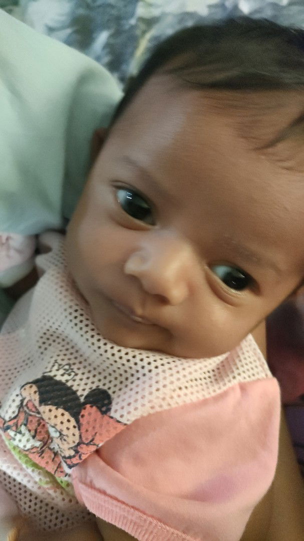 Rini Ibrahim profile icon