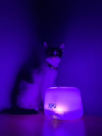 Nutritionist DMA profile icon